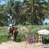 Vacation 2011 Brazil